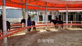 홍성군 학생승마체험 교실 운영