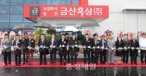 금산흑삼주식회사 생산 돌입