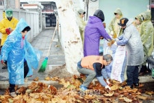 씨유 청주사직3구역점 | 청주 사직1동 거리 대청소