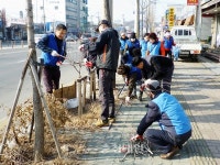 청주 내덕1동 바살위, 무궁화 꽃길 정비