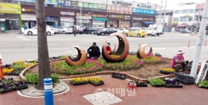 증평군, 주요 도로변에 꽃길 조성