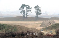 생생한 역사의 모습 간데없고 문화재만 덩그러니