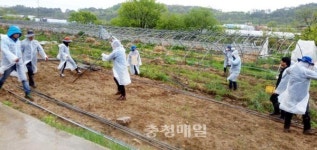 강풍 피해 입은 농민 시름 덜어주기