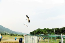 충남도민체전 성공 기원 예산 황새 비상하다