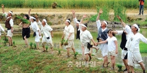 장뜰두레놀이 시연