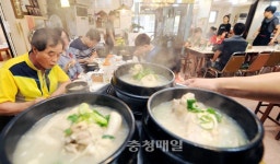 초복엔 삼계탕