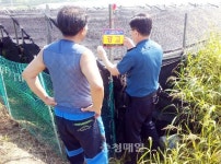 금산署 봉황지구대, 인삼 절도 경고판 부착