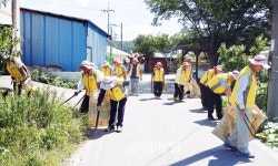 청양 목면분회경로당, 환경정화 활동