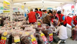 음성 청결고추 명성 입증…축제장 준비 물량 조기 완판