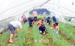 청주서부소방서 오송119안전센터, 농촌봉사활동