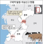 보은 구제역 확진…충북도 초비상