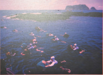 [물구나무서기]숨비소리