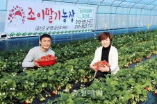 금산 초보농사꾼, 카페 접목 딸기농장으로 대박