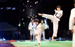 올 가을 충주서 무술의 진수를 만난다