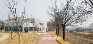 증평군, 연천천 변 왕벚나무길 조성