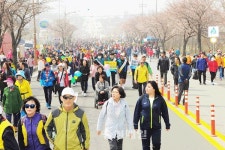 분홍물결 따라 추억 한가득