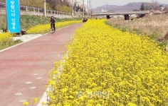 천안시 신방동주민자치위, 천안천변 꽃길 조성