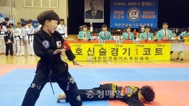 충남도지사기 합기도대회 성료