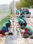 충주 목행용탄 새마을協, 전국체전 성공 기원 꽃길 조성