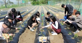 충주 노은중, 텃밭 가꾸기·교과 수업 접목 시도