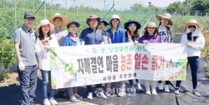 청주시 사창동 농촌일손돕기