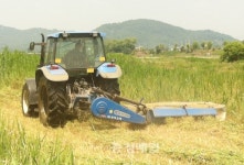 하천부지 야초 수확 한창…축산농가 사료비 걱정 뚝