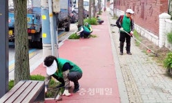 충주 칠금금릉동 새마을협, 환경정화활동