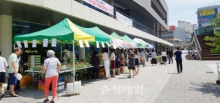 세종 연서면 농특산물, 아름동 나들이