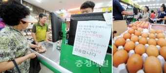 계란 못 먹겠다…충북, 불안 가중
