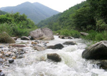 [물구나무 서기]<콩트>상처뿐인 상처