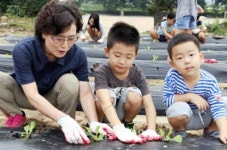 음성 능산초, 배추심기 체험행사