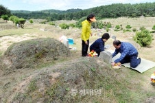 청주 매화공원 찾은 성묘객