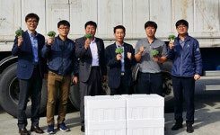 괴산 청천농협, 브로콜리 대만 수출