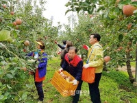 충주 호암직동·서울 문래동 주민자치위, 농촌일손돕기