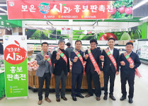 충북농협연합사업단, 보은사과 판촉전