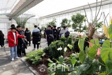 영동군  과일나라테마공원 문화·힐링공간으로 인기