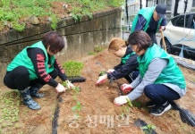청주 수곡1동, 행복 텃밭 조성