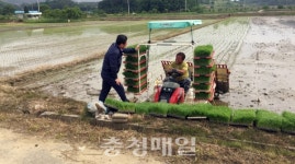 청양군 화성면, 모내기 현장 방문