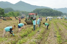 충북 공공기관들 생산적 일손봉사 구슬땀