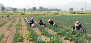 충주시 생산적 일손 긴급지원반, 농가 근심 해소 한 몫