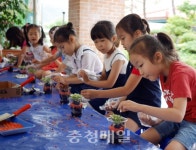 보령 대천동대초, 테라리움 만들기 체험