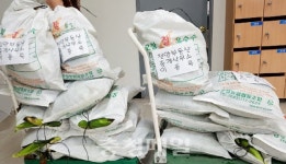 천안부동산중개사무소·디지털, 옥수수 나눔 봉사