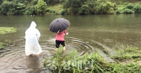 부여군, 용두리 지천서 참게·다슬기 종묘 방류