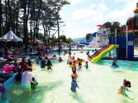 100년 된 소나무 숲에서 물놀이 즐기세요