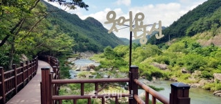 여울·산새·풍경 소리 따라 낭만 가득