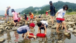 괴산 둔율 강변으로 올갱이 잡으러 오세요