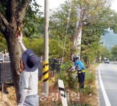천안시 북면, 도로변 환경개선 작업 실시