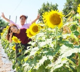논산시 행복마을로 초대합니다