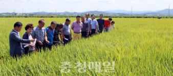 당진농기센터, 종자개발 분야 시범사업 순회평가회