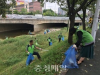 청주시 흥덕구, 하천 정화활동